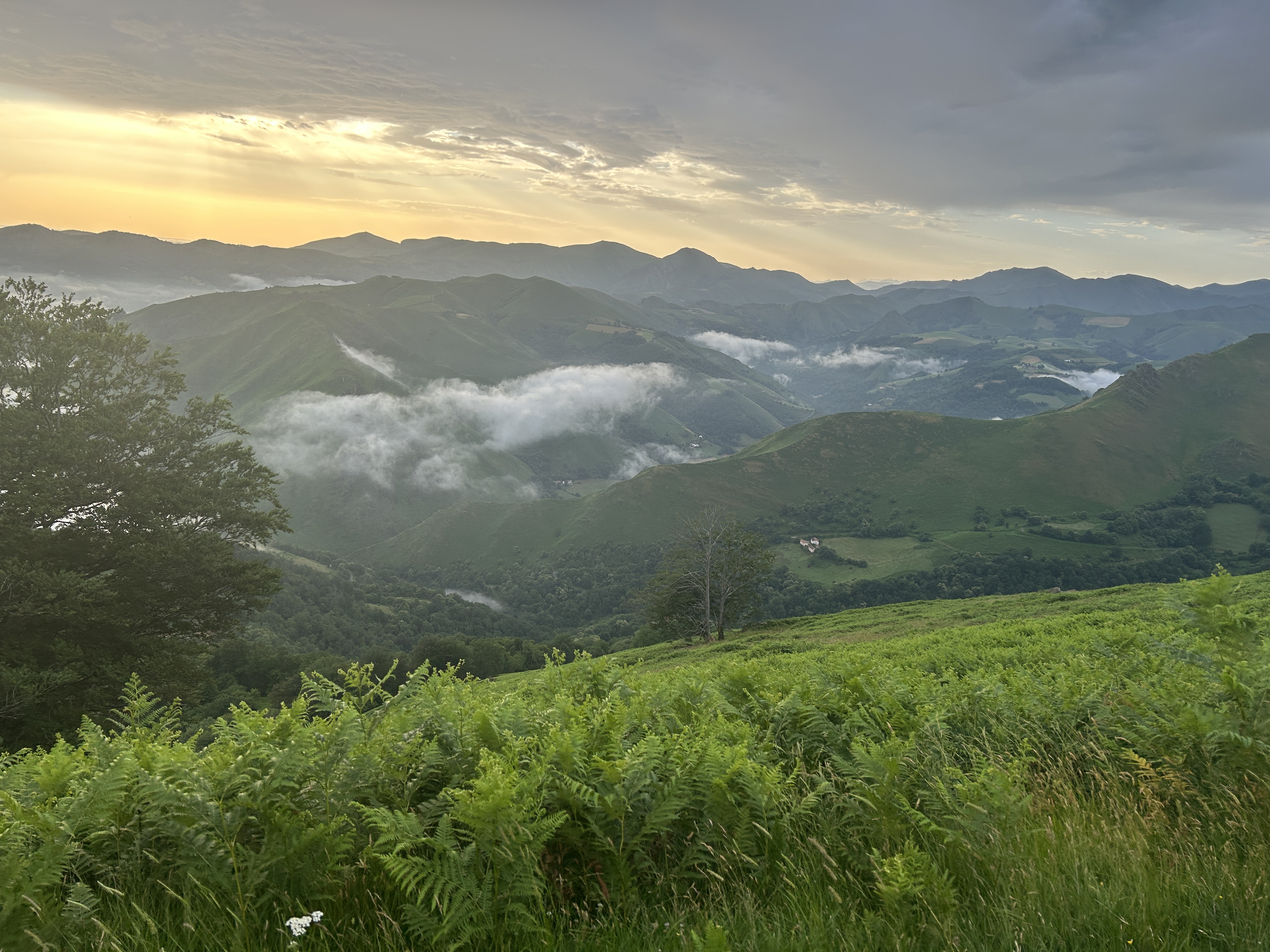Jakobsweg · Camino de Santiago & Move nach München